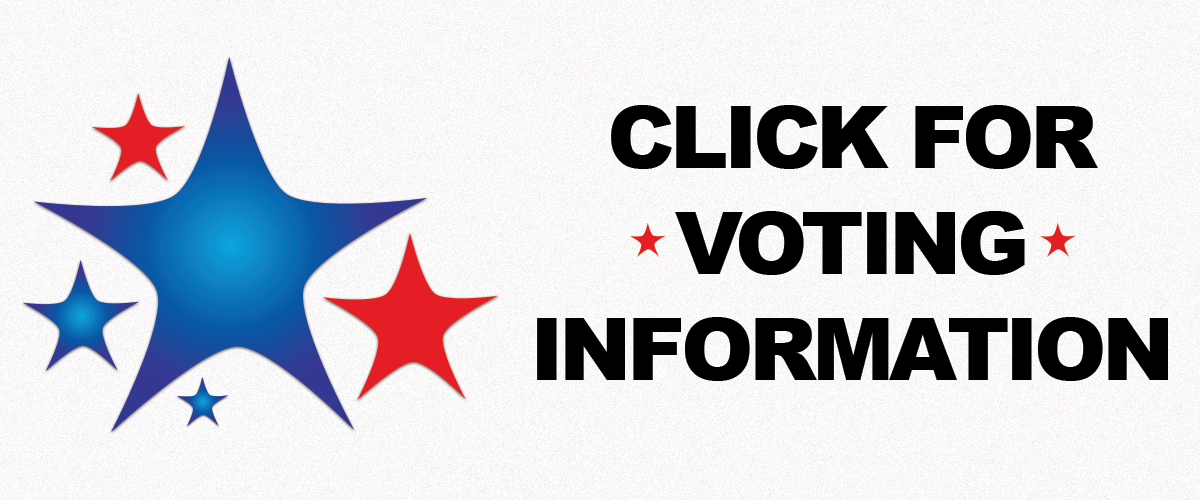 Voting information